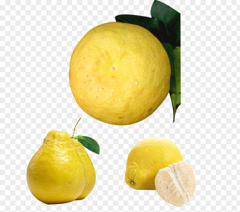 Fresh Grapefruit Lemon Citrus Junos Citron Pomelo Tangelo PNG