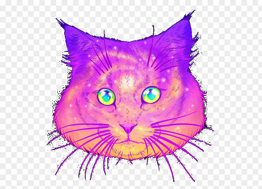 Kitten Devon Rex Persian Cat Art PNG