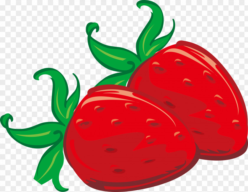 Red Animals Strawberry Tomato Food Image PNG