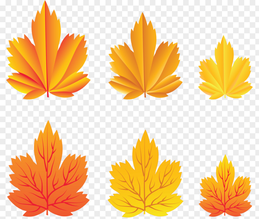 Autumn Clip Art Image Desktop Wallpaper PNG