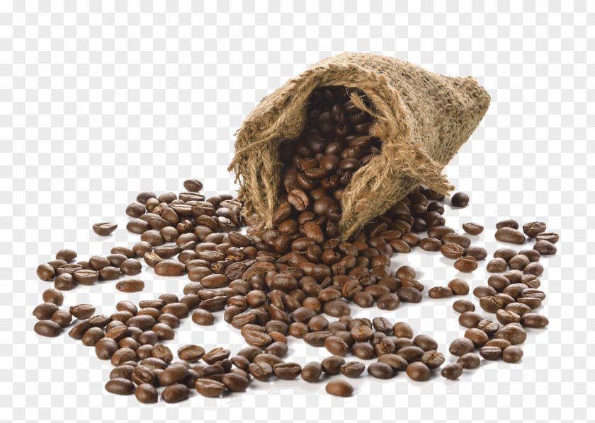Bag Of Coffee Beans Bean PNG