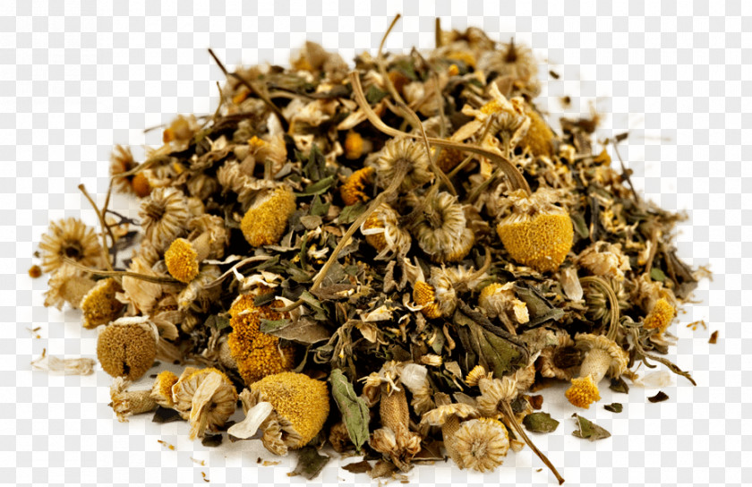 Chamomile Green Tea Horse Organic Food PNG