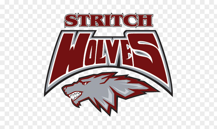 Coaching 4 Christ Cardinal Stritch University Worcester Polytechnic Institute Wolves Men's Basketball Women's Concordia Chicago PNG