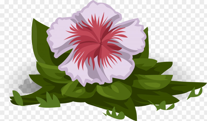 Natural Mallows Flower Plant White PNG