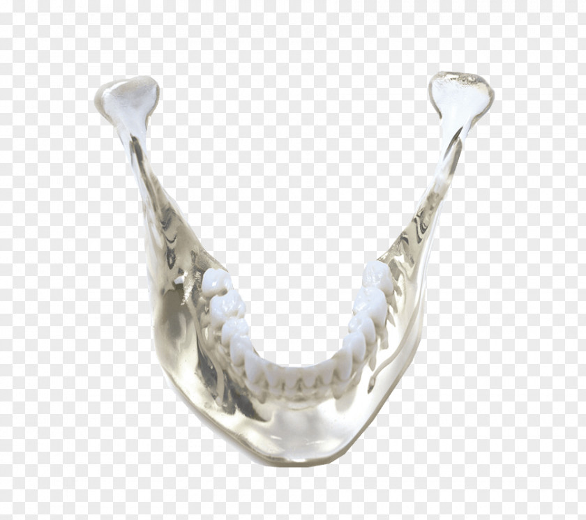 SculptCAD 3D Printing Mandible Rapid Prototyping PNG