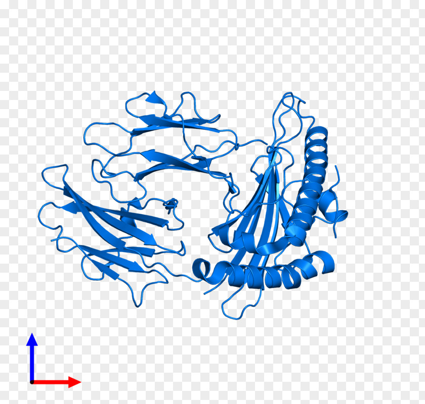 Beta2 Microglobulin Drawing Graphic Design Line Art Clip PNG