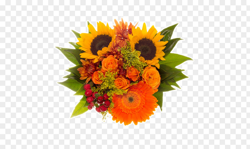 Flower Common Sunflower Transvaal Daisy Bouquet Wedding PNG