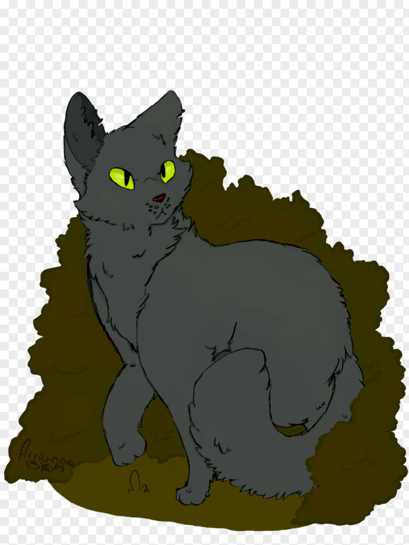 Kitten Korat Whiskers Domestic Short-haired Cat Black PNG
