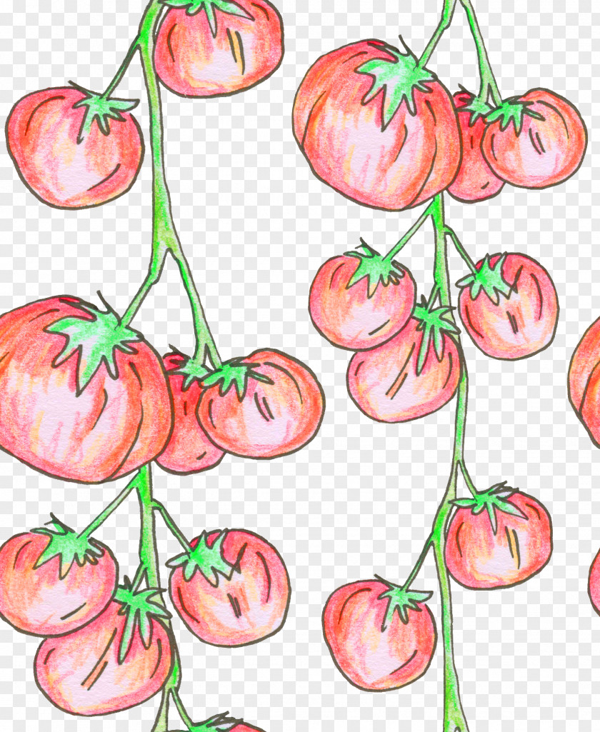 Tomato Clip Art Plant Stem Plants PNG