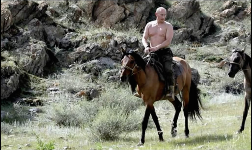 Vladimir Putin Tuva United States Horse President Of Russia Equestrian PNG