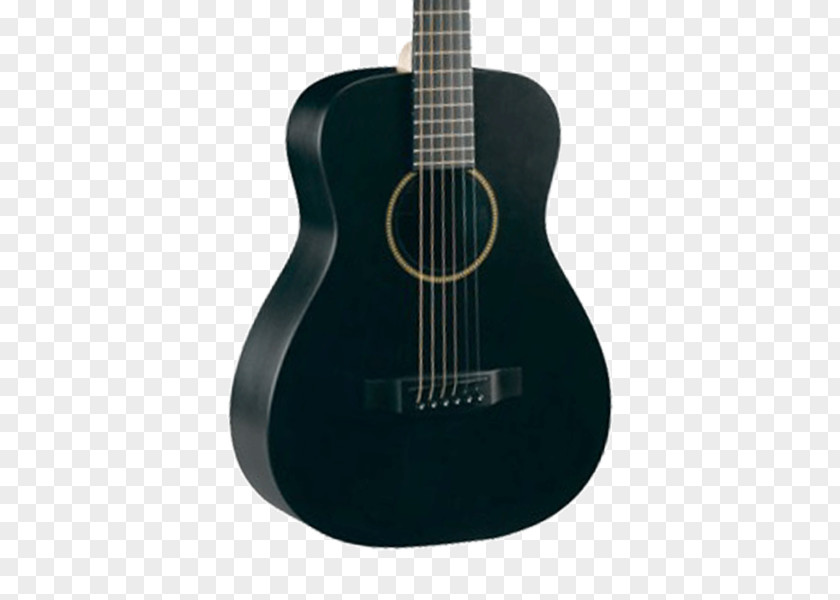 Acoustic Gig Guitar Bass Acoustic-electric PNG