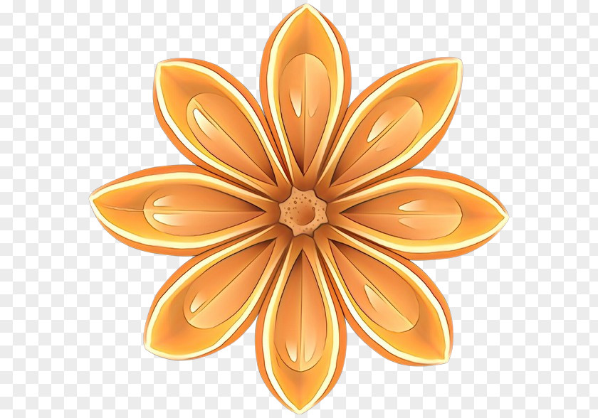 Flower Plant Petal Yellow PNG