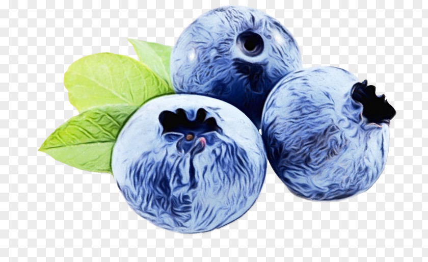 Plant Fruit Blueberry Transparency Bilberry Periorbital Puffiness Food PNG