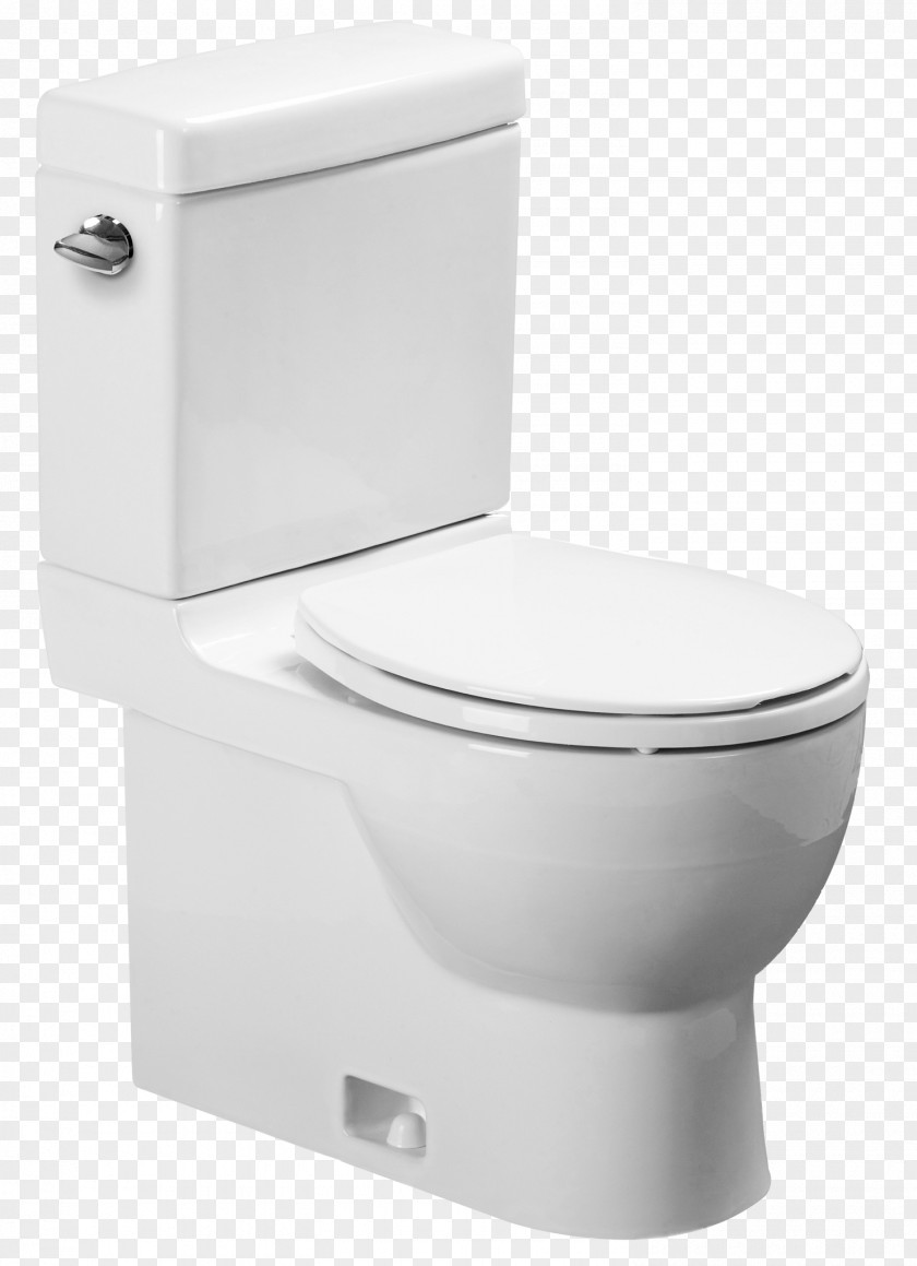 Toilet Flush & Bidet Seats Villeroy Boch PNG