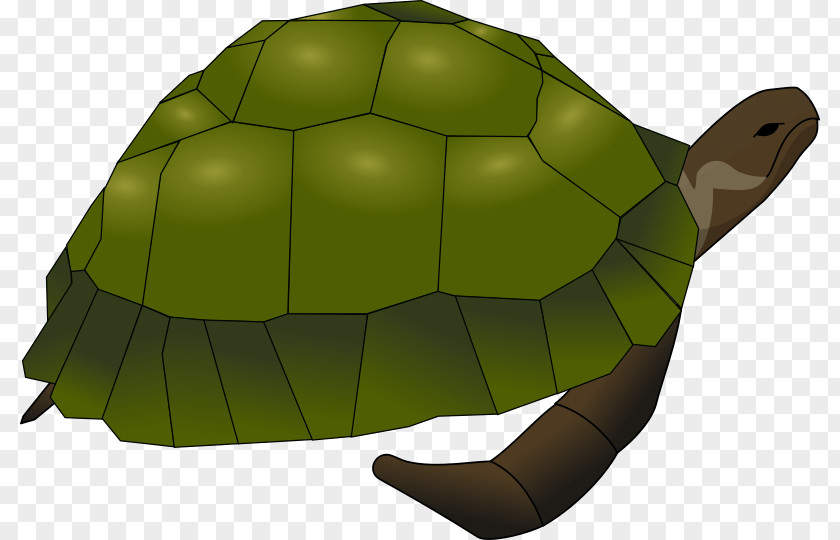 Turtle Sea Common Snapping Clip Art PNG