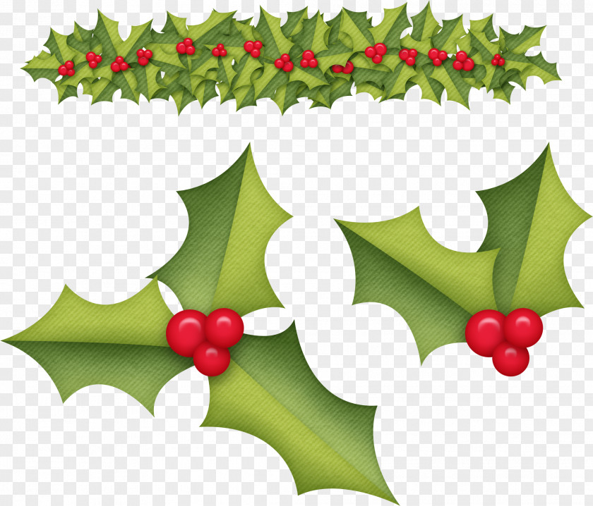 Holly Aquifoliales Christmas Ornament Fruit Clip Art PNG