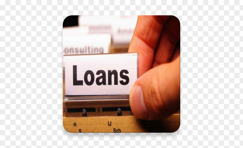Personal Loan Punjab National Bank Business Fraud PNG