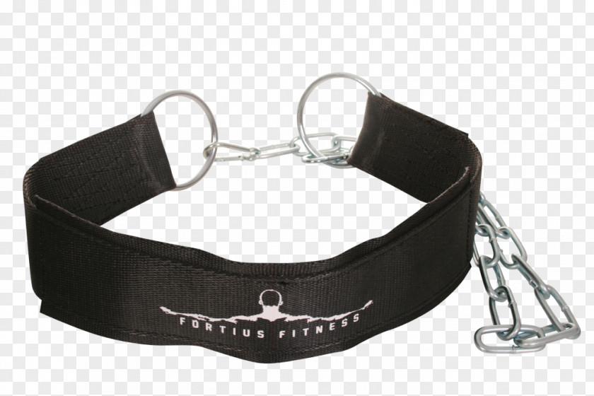 Powerlifting Garage Gym Belt Dog Collar Product PNG