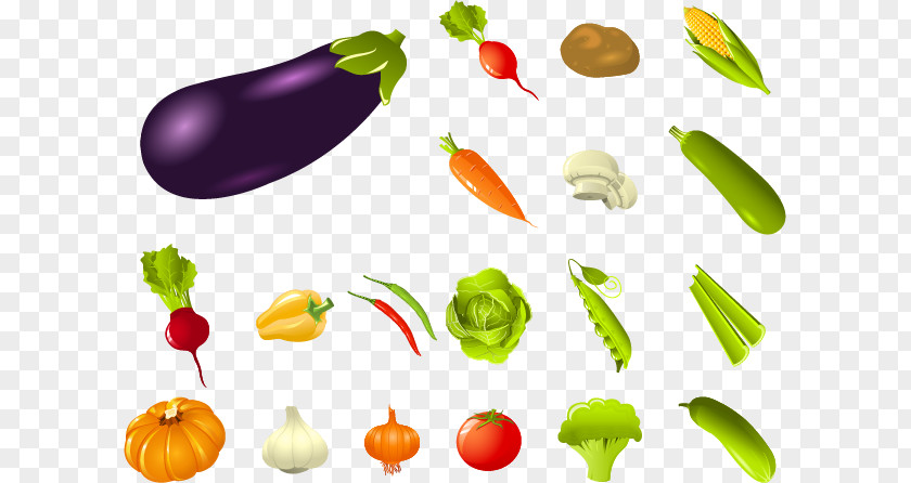 Vector Eggplant Vegetable Fruit Radish PNG