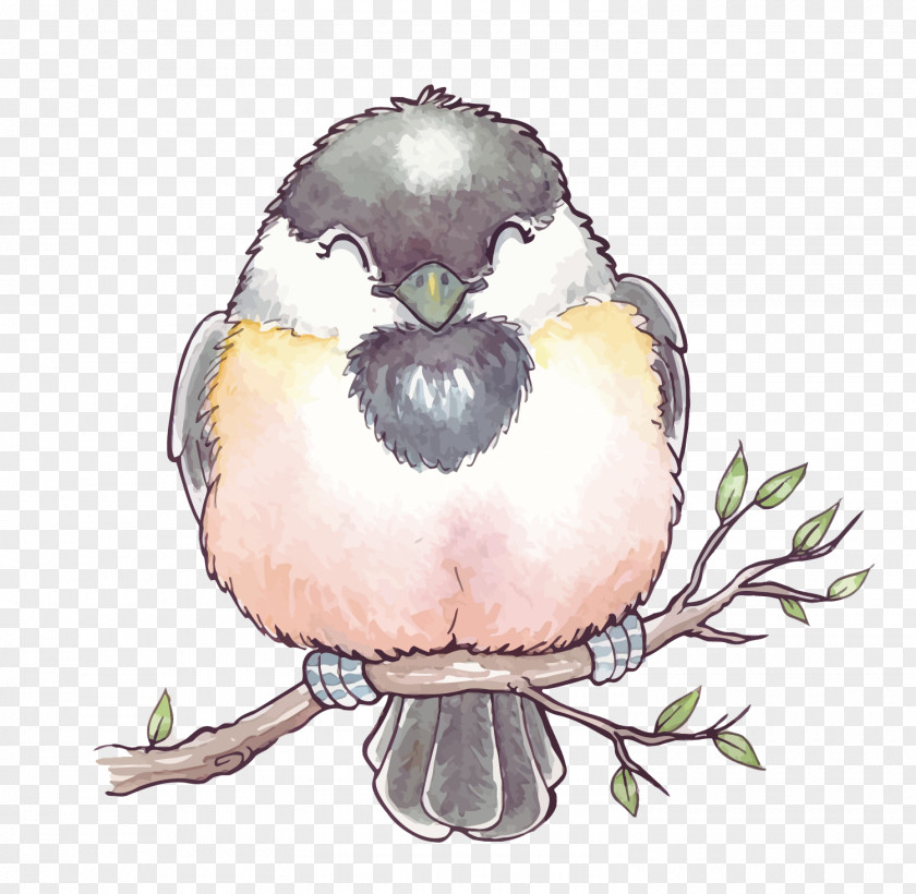 Vector Watercolor Birds Bird Painting PNG