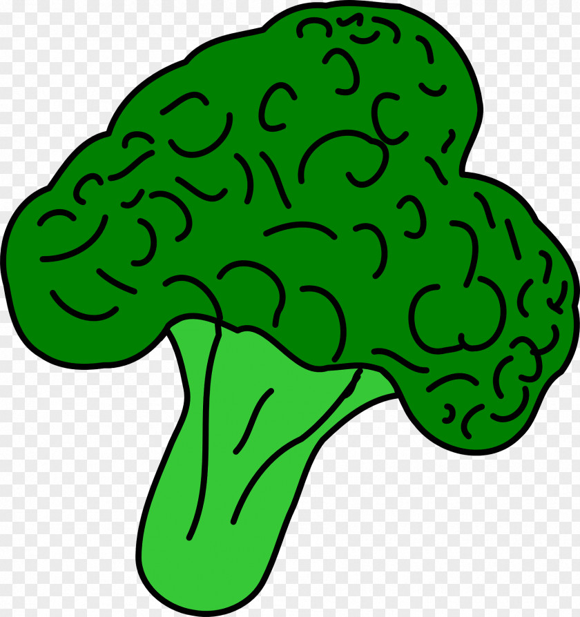 Vegetable Broccoli Clip Art PNG