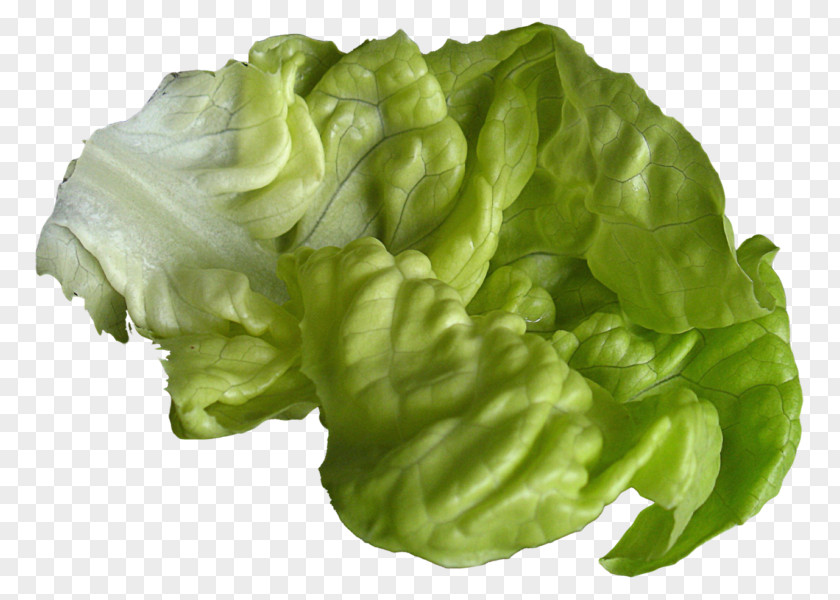 Vegetable Lettuce Sandwich Hamburger Vegetarian Cuisine Romaine Caesar Salad PNG