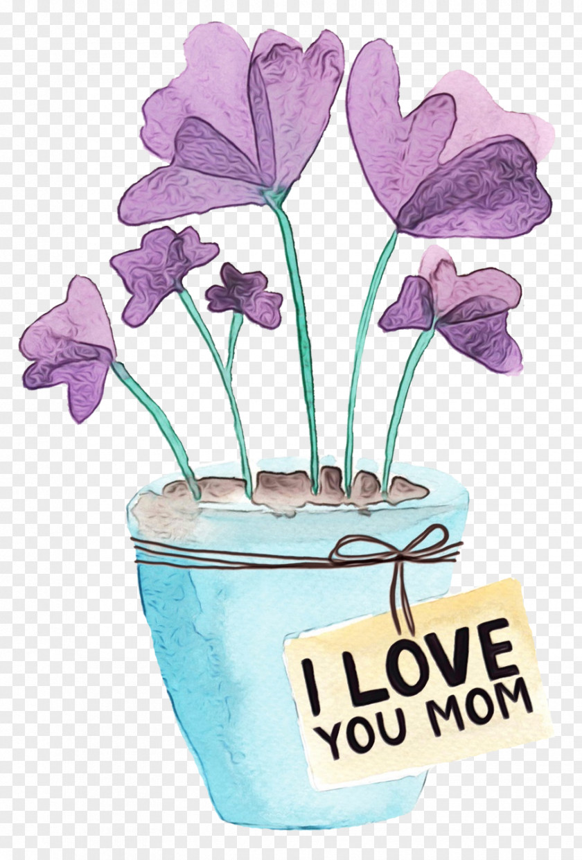 Violet Family Herbaceous Plant Flowerpot Flower Purple PNG