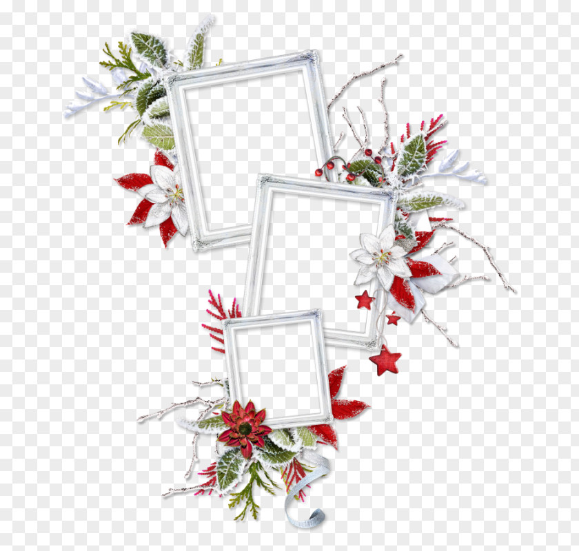 Design Floral Christmas Ornament Cut Flowers PNG