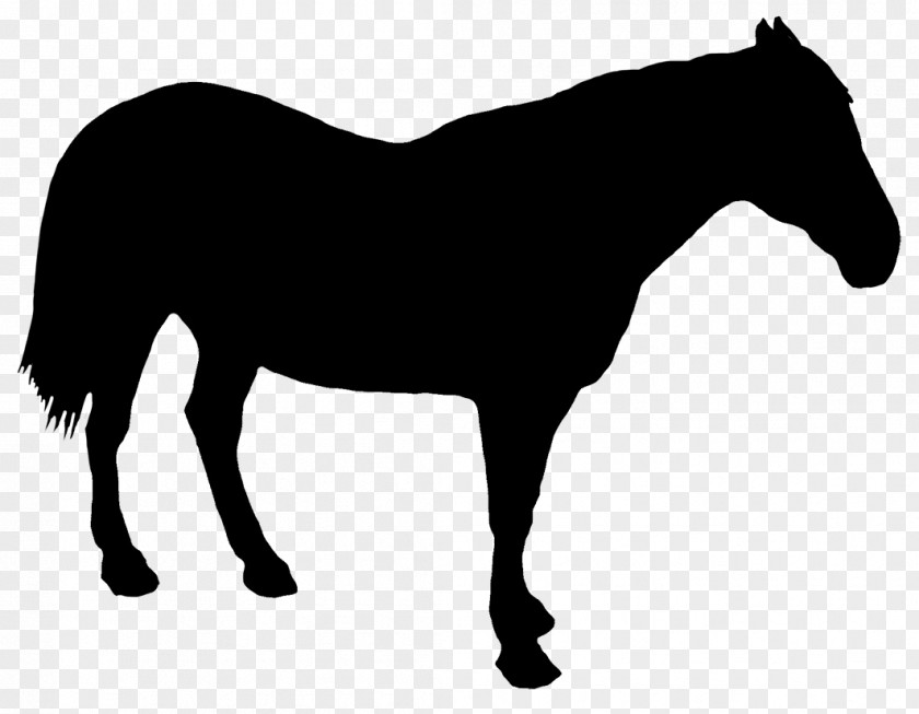 Horse Riding Draft Drawing Silhouette PNG
