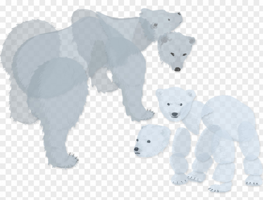 Polar Bear Arctic Illustration Regions Of Earth PNG