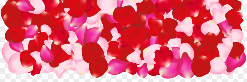 Rose Petals Drift Petal Pink Flowers Clip Art PNG