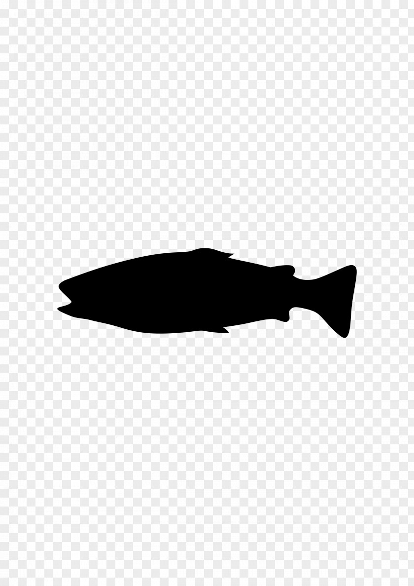 Bearded Dragon Fish Silhouette Black Clip Art PNG