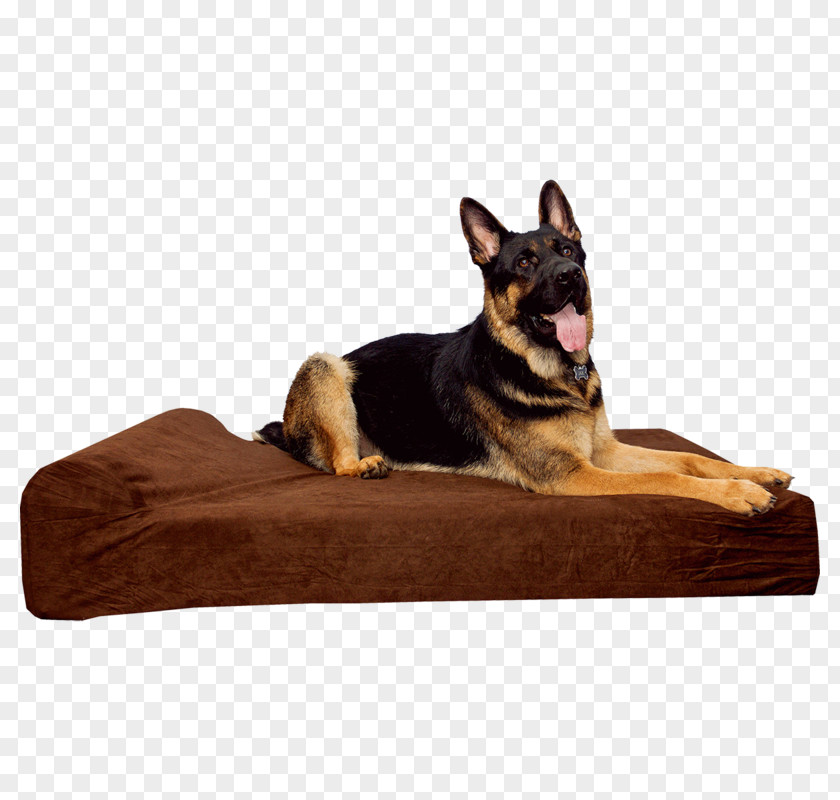 Bed Sofa Pillow Table Couch PNG