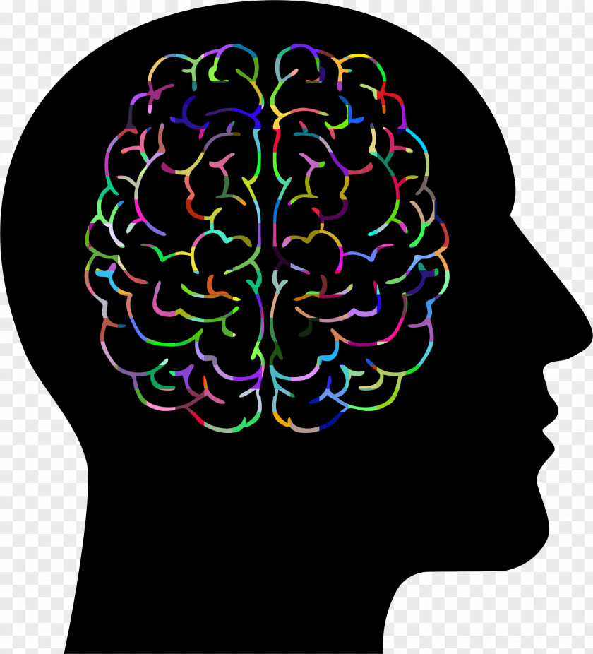 Brain Bulb Human Head Clip Art PNG