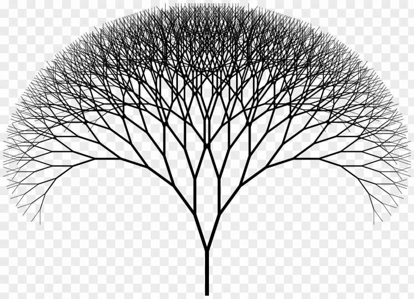 Olive Tree Fractal Art Index Mathematics PNG