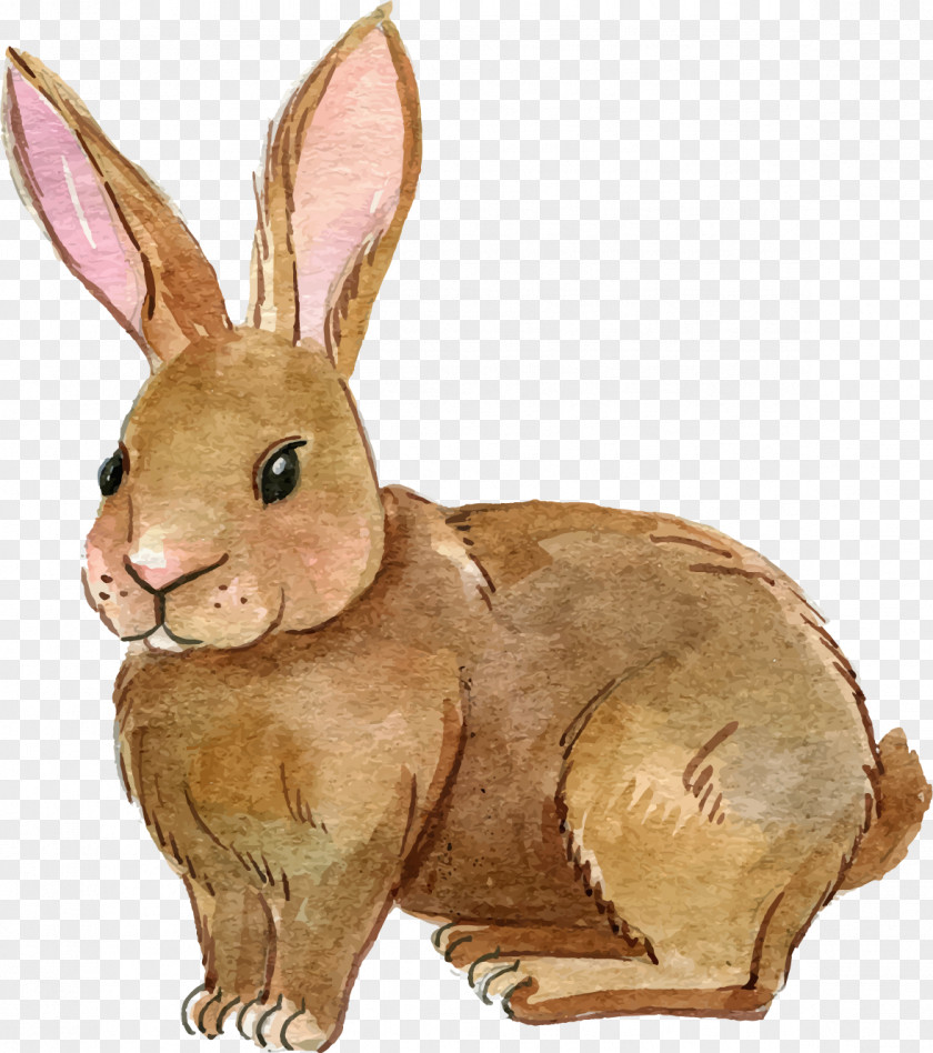 Rabbit Easter Bunny Egg Clip Art PNG