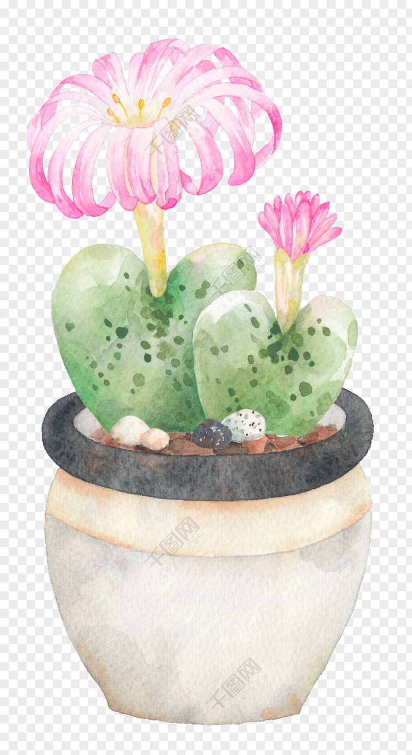 Blooming Cactus Vector Graphics Graphic Design Image PNG