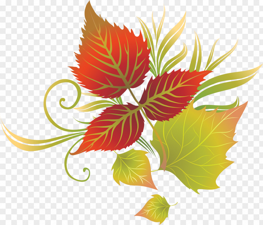 Leaf Tree Autumn Crown Clip Art PNG