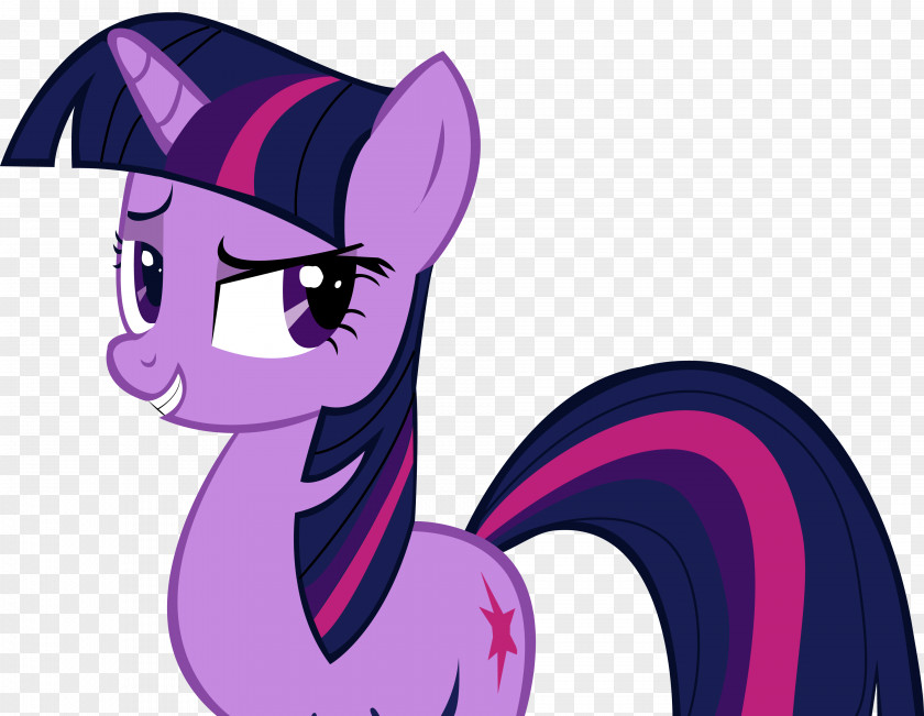 My Little Pony Twilight Sparkle Pinkie Pie Applejack Rainbow Dash PNG