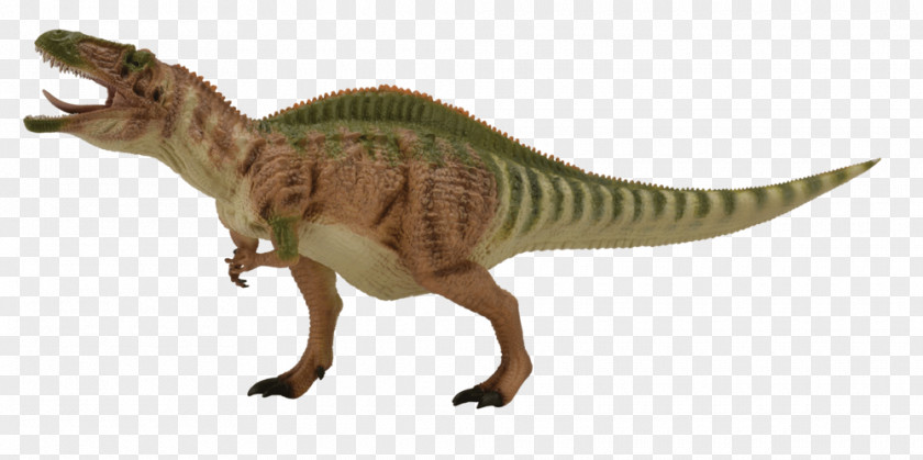 Acrocanthosaurus Tyrannosaurus Styracosaurus Neovenator Giganotosaurus PNG