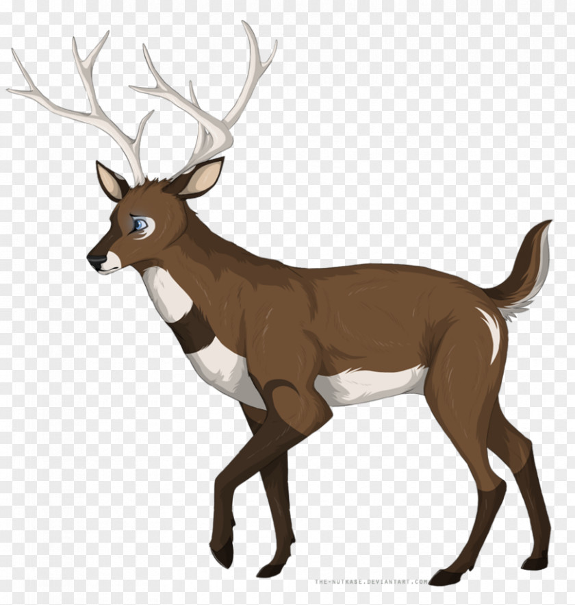 Deer Elk White-tailed Reindeer Antler PNG