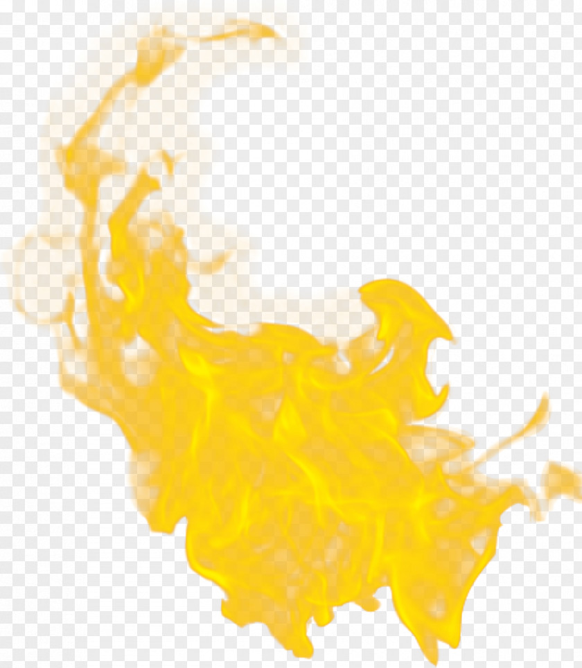 Flame Beak Material Pattern PNG