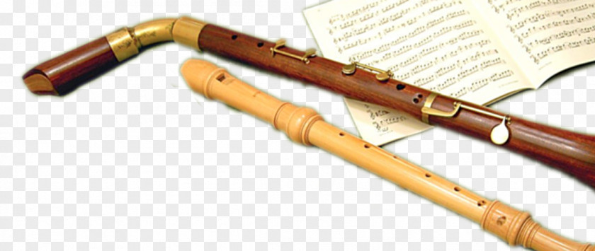 Flauta Clarinet Family Flute Recorder Flageolet Piccolo PNG