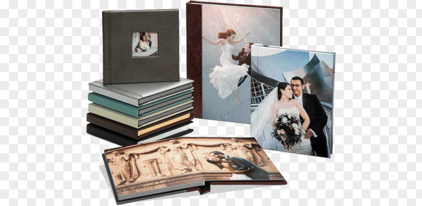 Photographer Photography Photo Albums PNG
