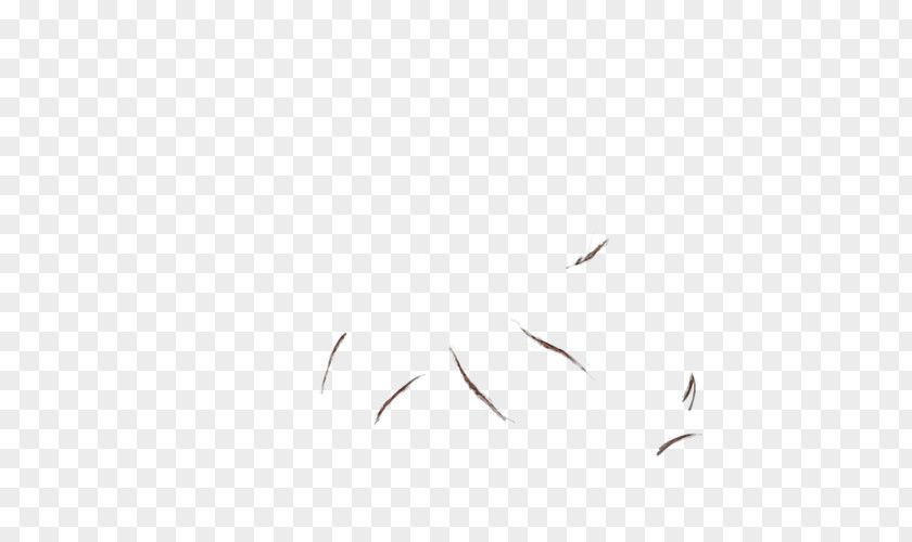 Scars Bird Feather Wing Beak Font PNG