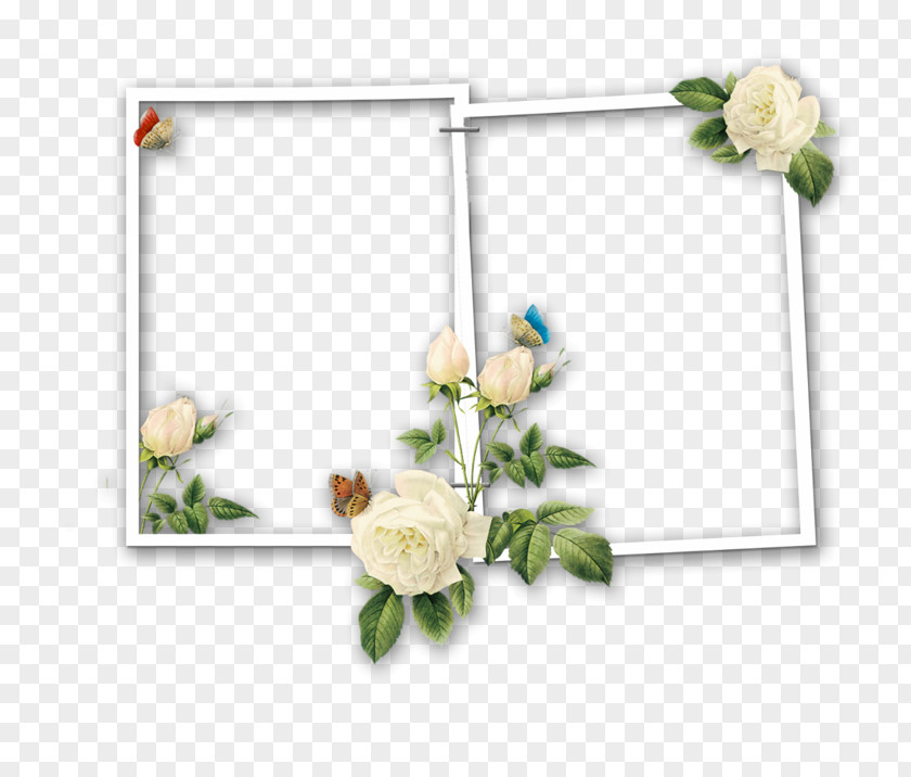 Borders And Frames Day Of The Dead Picture Image PNG
