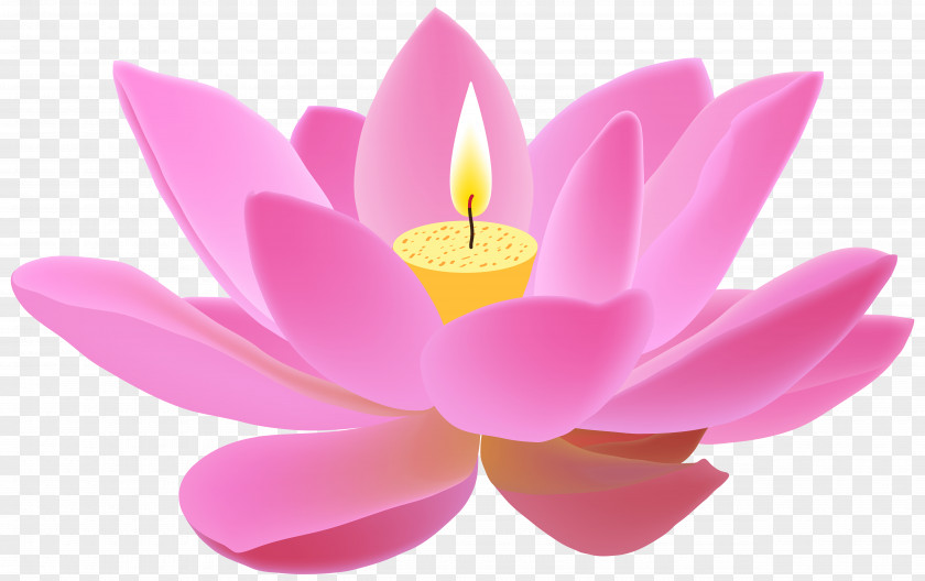 Lotus Candle Free Clip Art Image Nelumbo Nucifera PNG