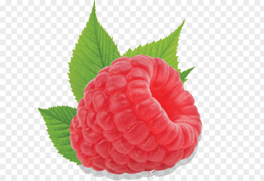 Raspberry Fruit Strawberry Red Accessory PNG