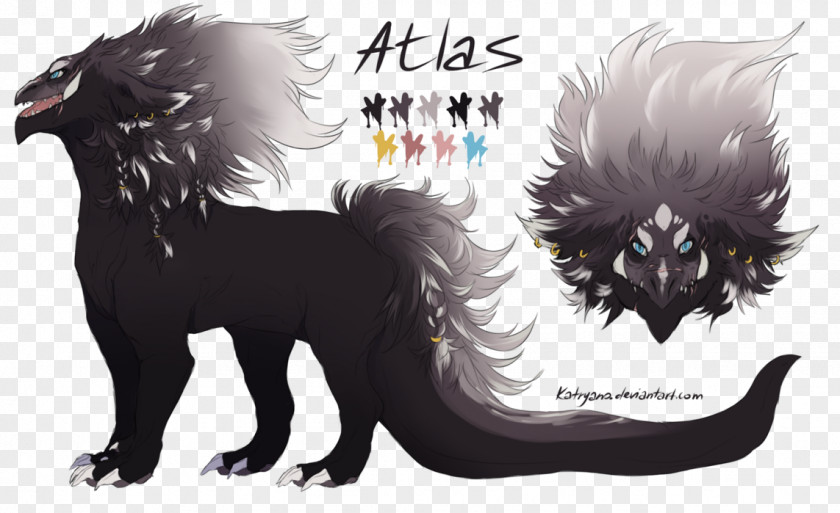 Seeing Auras Spirits Dog Cat Illustration Fur Paw PNG