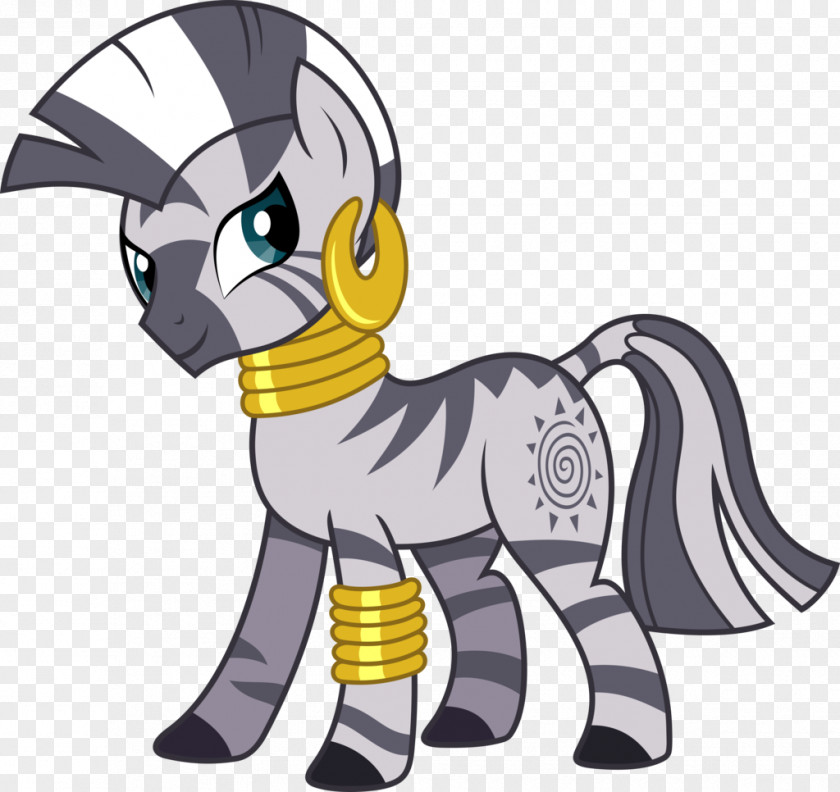 Zebra Pony Applejack Twilight Sparkle Rainbow Dash Fluttershy PNG